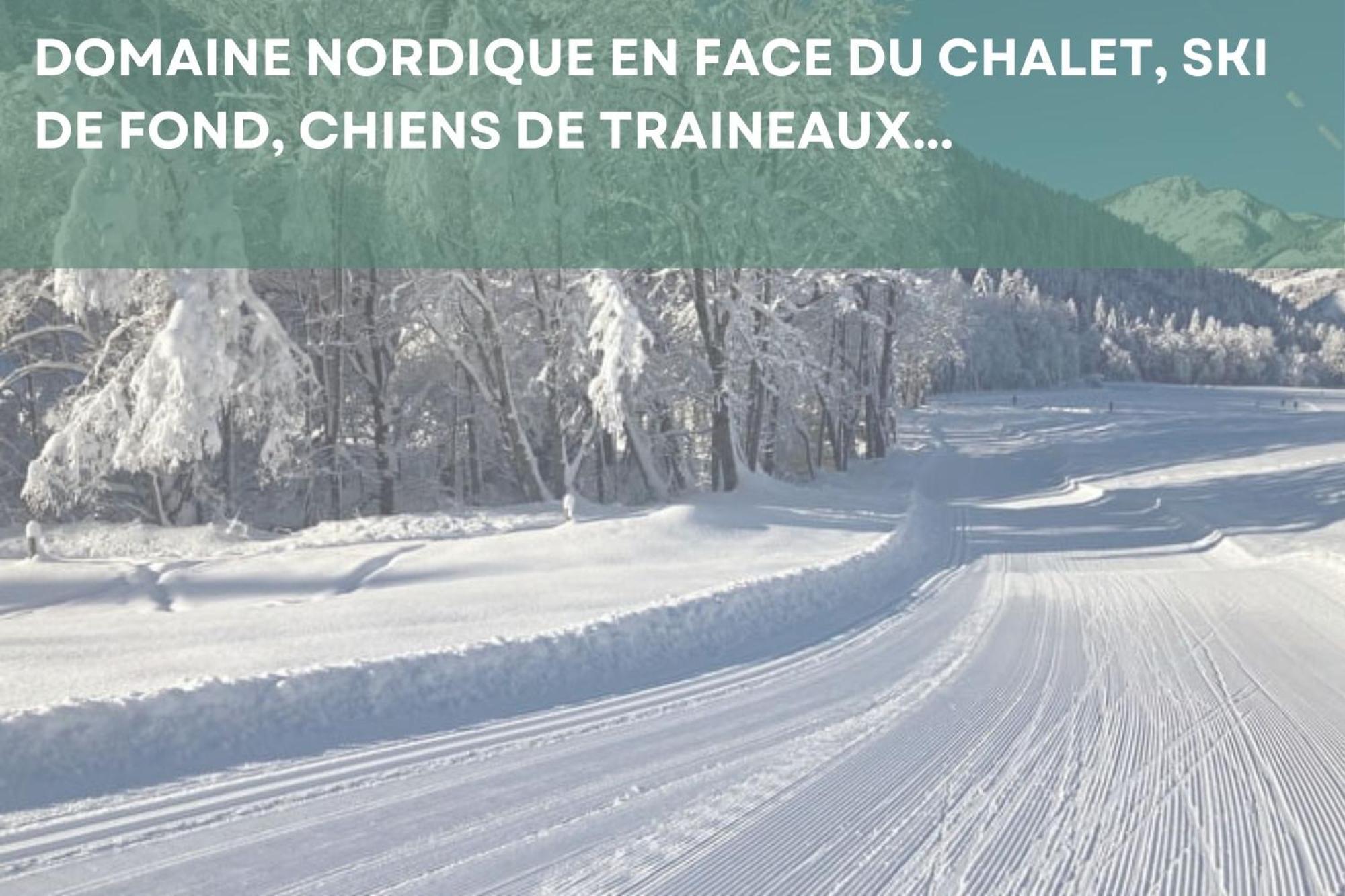 Chalet Les 4 Saisons - Ski, Parking Et Jardin Abondance Dış mekan fotoğraf
