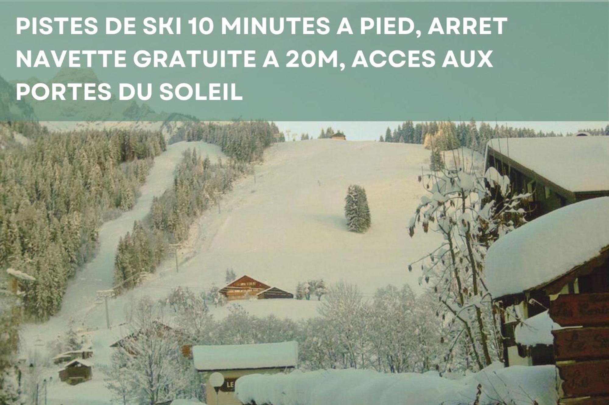 Chalet Les 4 Saisons - Ski, Parking Et Jardin Abondance Dış mekan fotoğraf