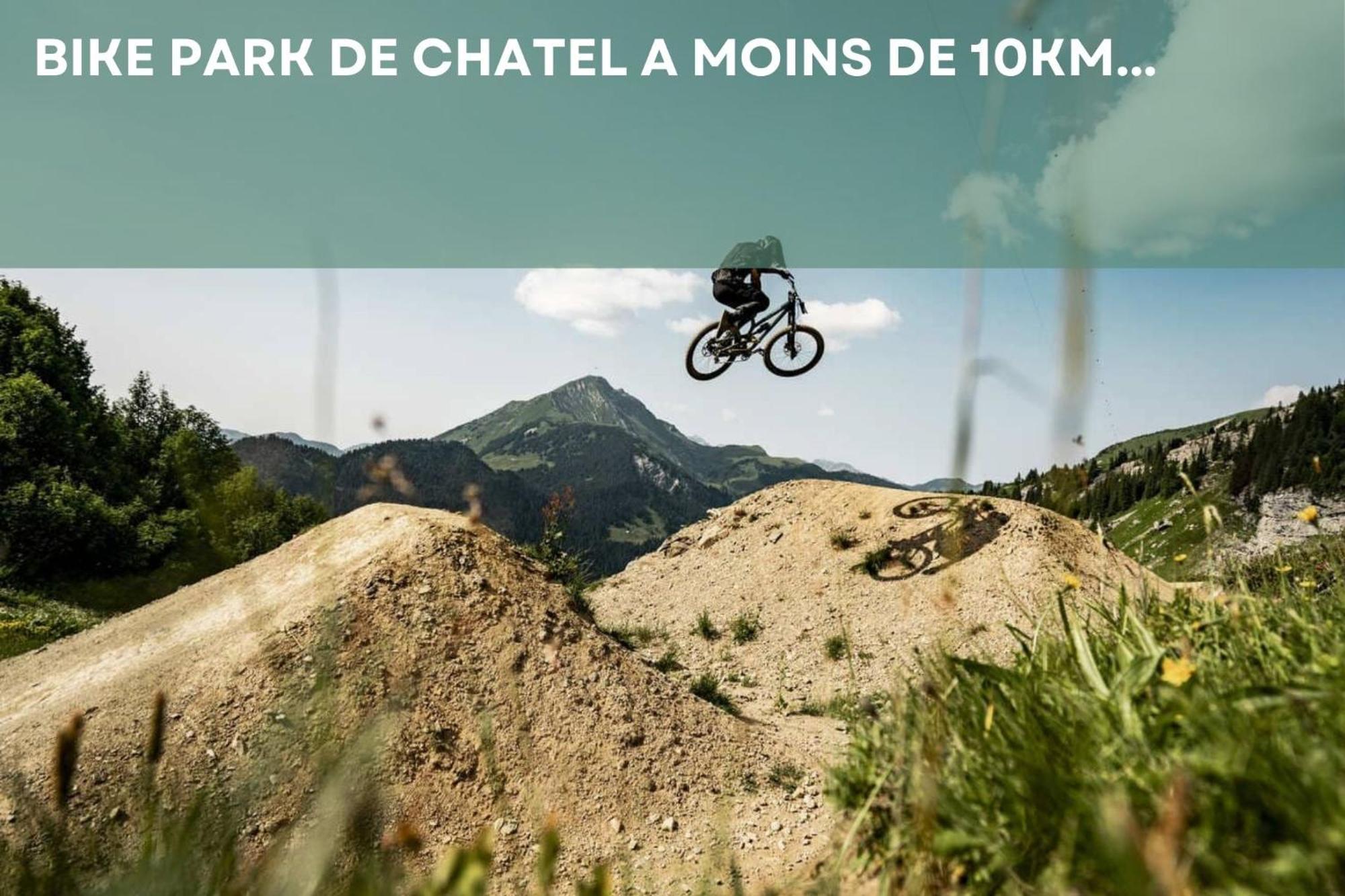 Chalet Les 4 Saisons - Ski, Parking Et Jardin Abondance Dış mekan fotoğraf